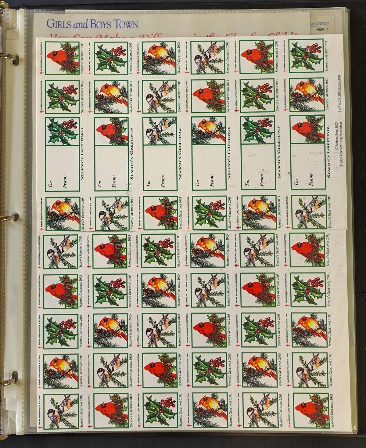 Christmas Seals Conservation Stamps & Cinderellas Stamp Collection Album ZAYIX