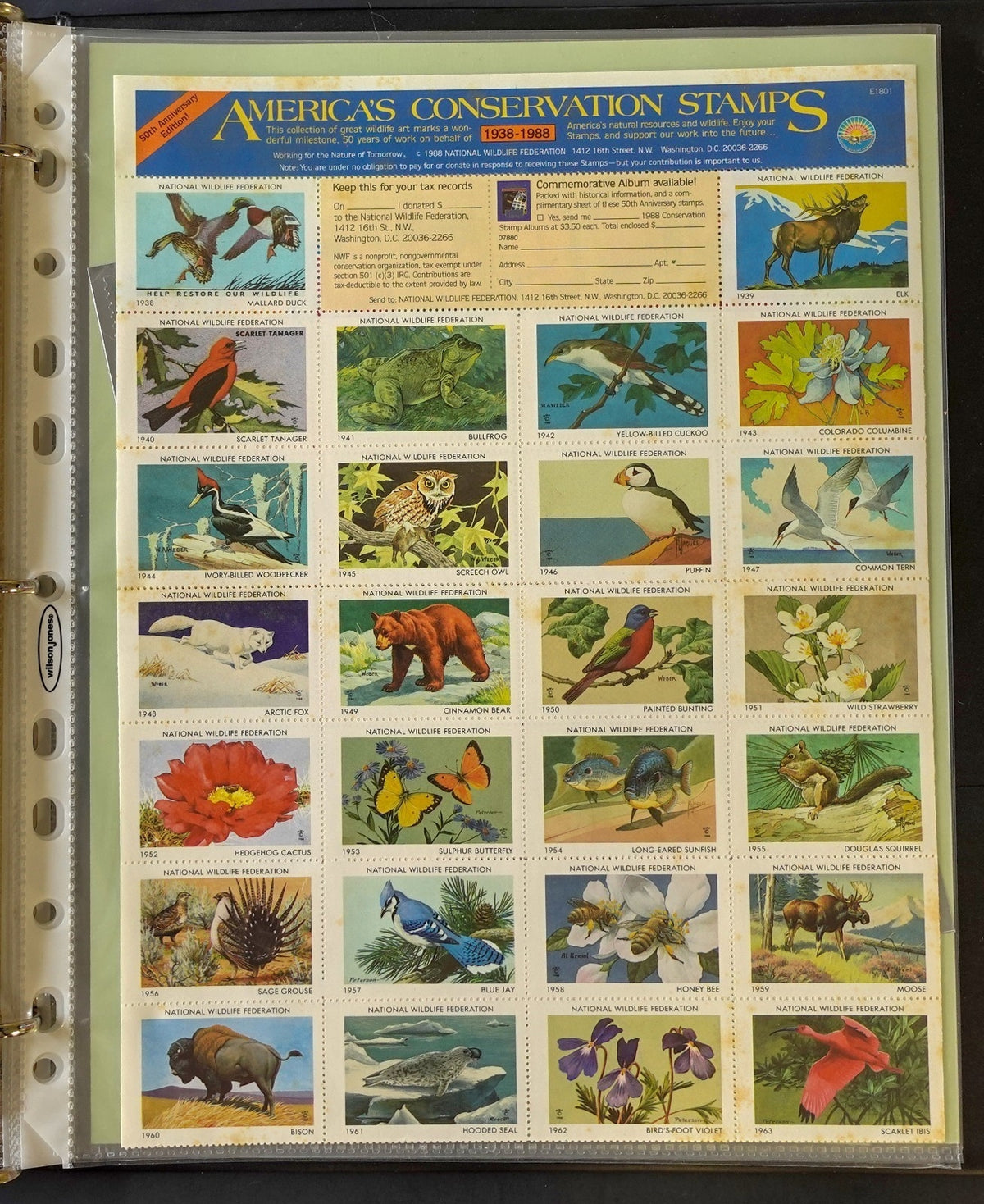 Christmas Seals Conservation Stamps & Cinderellas Stamp Collection Album ZAYIX