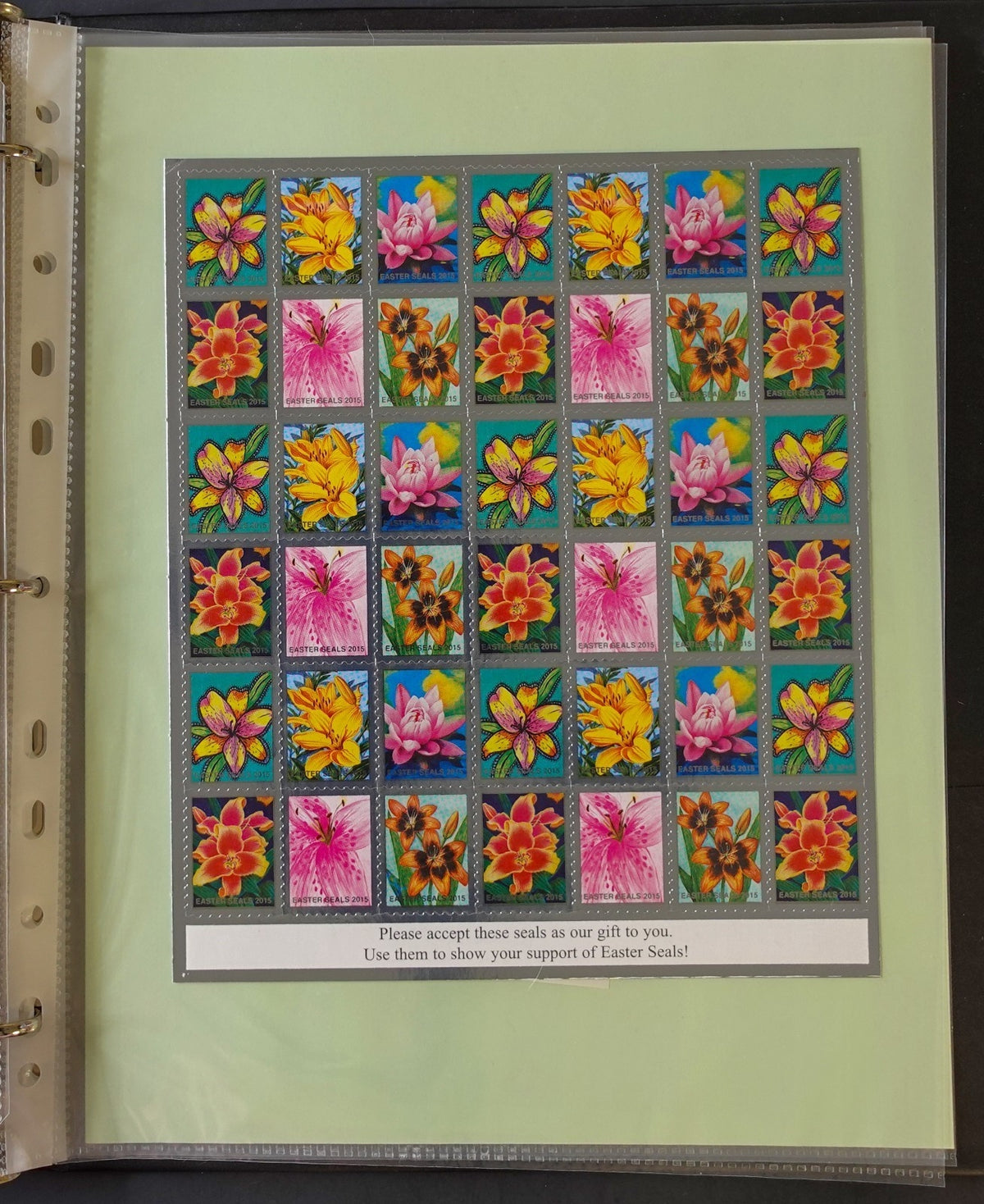 Christmas Seals Conservation Stamps & Cinderellas Stamp Collection Album ZAYIX