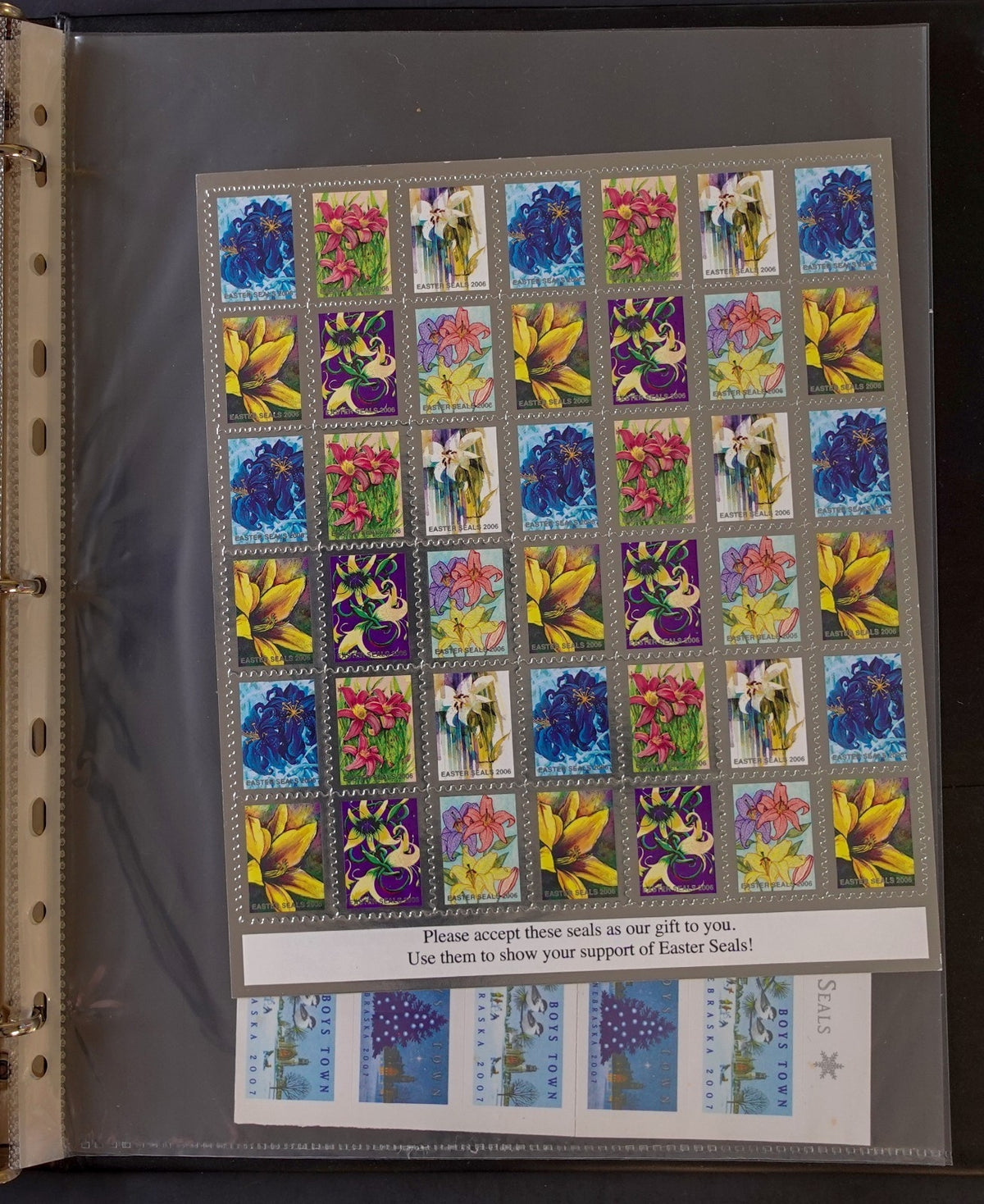 Christmas Seals Conservation Stamps & Cinderellas Stamp Collection Album ZAYIX