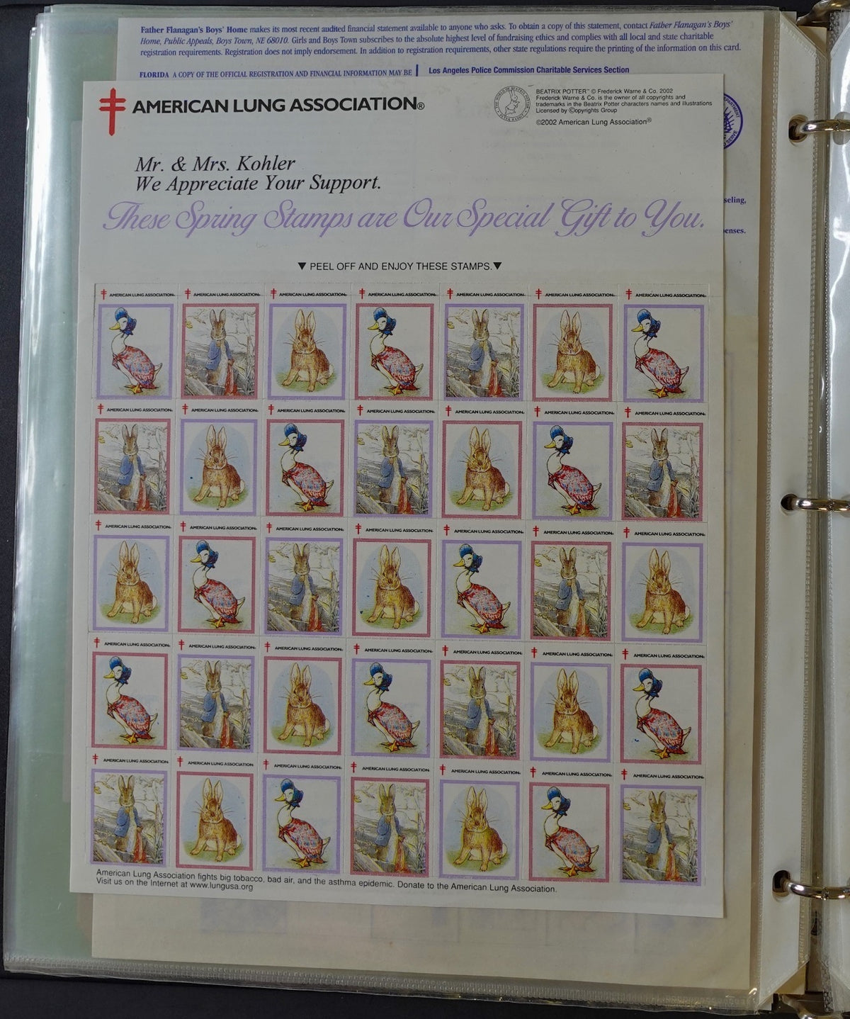 Christmas Seals Conservation Stamps & Cinderellas Stamp Collection Album ZAYIX