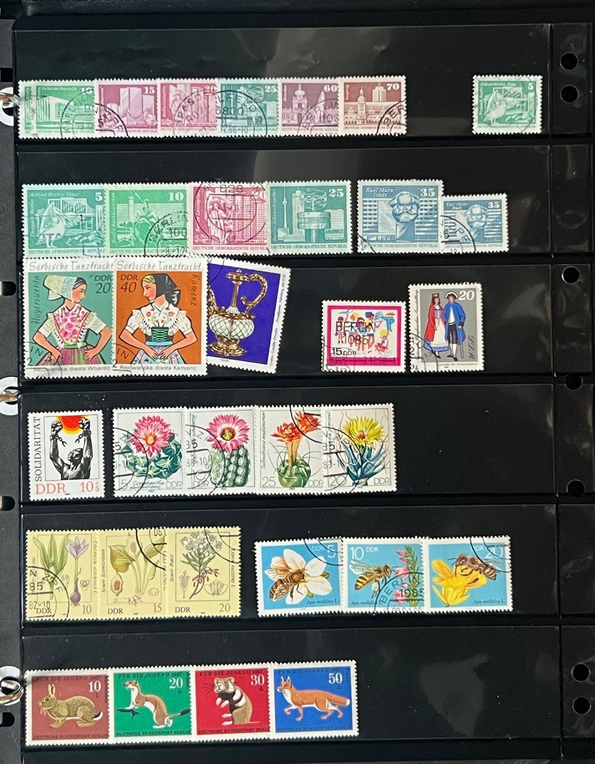Germany Stamp Collection 13 Stockpages Mint & Used ZAYIX