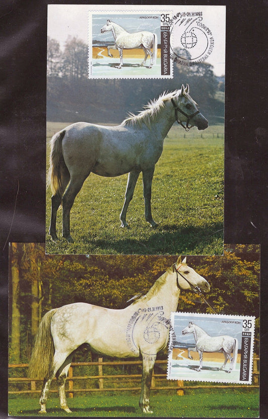 Bulgaria Maxi Card FDC Arabian Horses Zayix Stamps ZAYIX 0125M0173