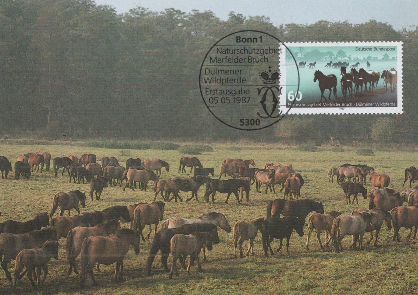 Germany Maxi Card FDC Herds Horses Zayix Stamps ZAYIX 0125M0175