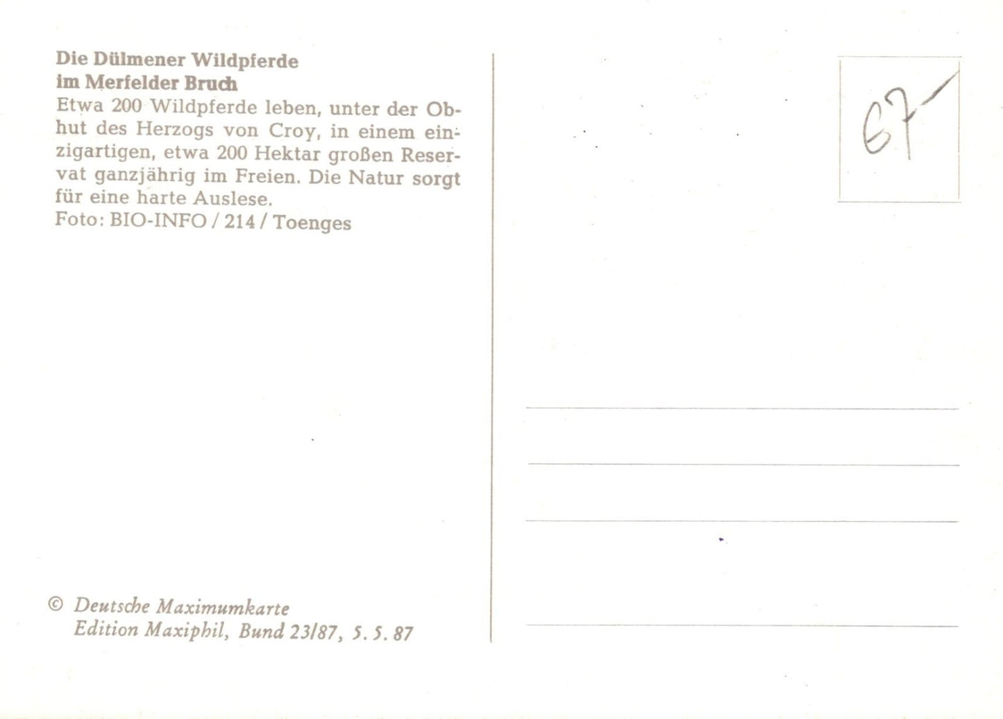Germany Maxi Card FDC Herds Horses Zayix Stamps ZAYIX 0125M0175