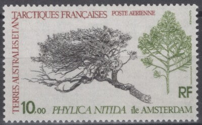 FSAT TAAF C59 MNH Tree, Phylica Nitida, Plants ZAYIX FSA-S0206M