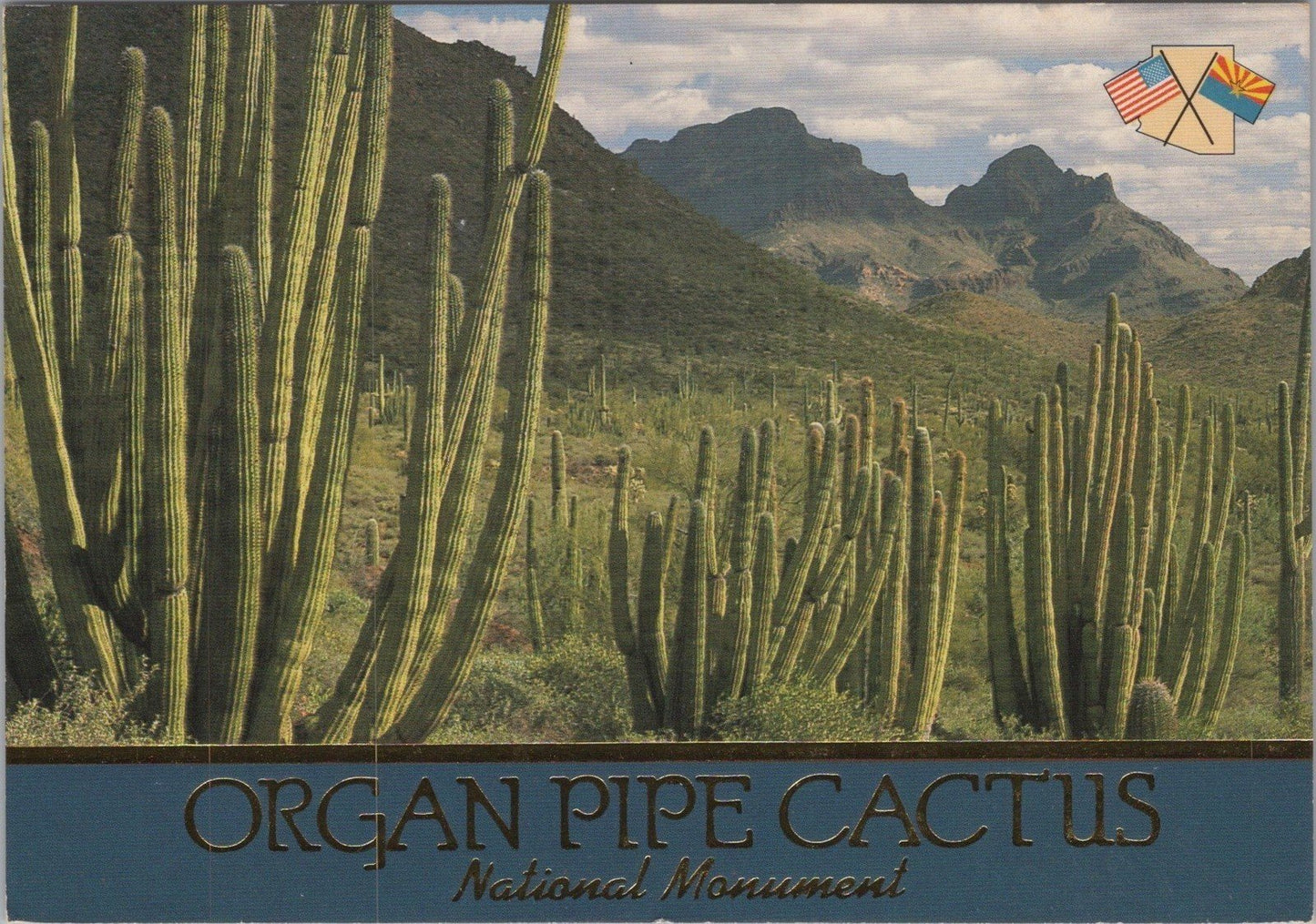 Organ Pipe Cactus National Monument Arizona Postcard ZAYIX 102022PC73