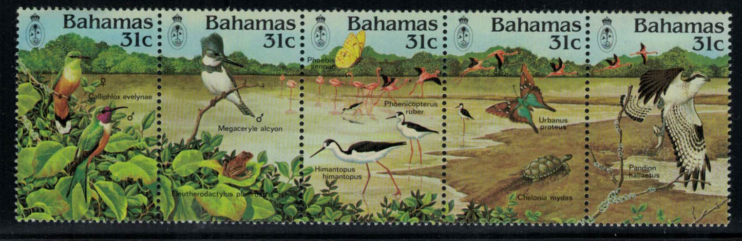 Bahamas 568 MNH Birds Marine Life Turtles Butterflies Frogs ZAYIX 041322SM97