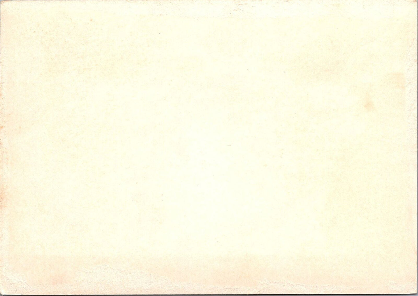 Russia / USSR Postal Card Nature Environment Flowers Fungus 070422SM160M