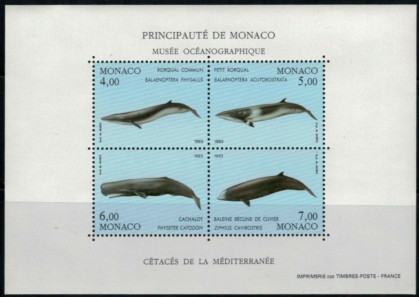 Monaco 1853 MNH souvenir sht Marine Life Cetaceans Whales 071522SM05M