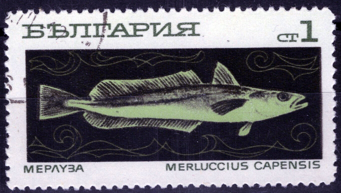 Bulgaria 1810 Used/CTO European Hake Fish Marine Life 072822S06M