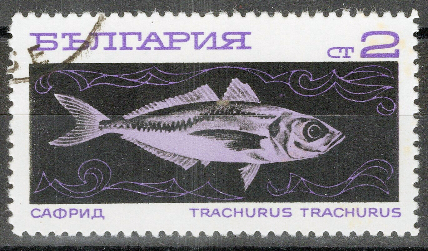 Bulgaria 1812 Used/CTO Mackerel Fish Marine Life 072822S07M