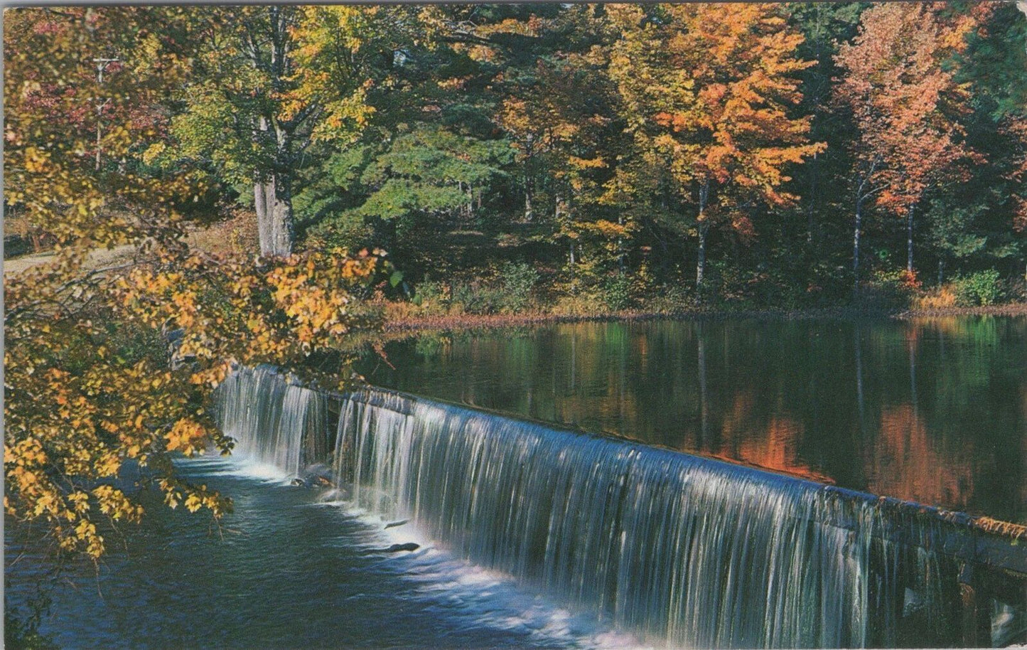 ZAYIX Postcard Down by the Old Mill Stream Free Lance Photographers 090222PC99