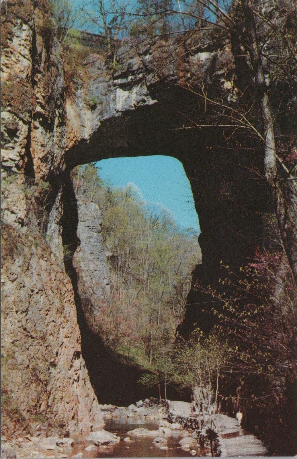 ZAYIX Postcard Natural Bridge Virginia Landscape 090222PC98