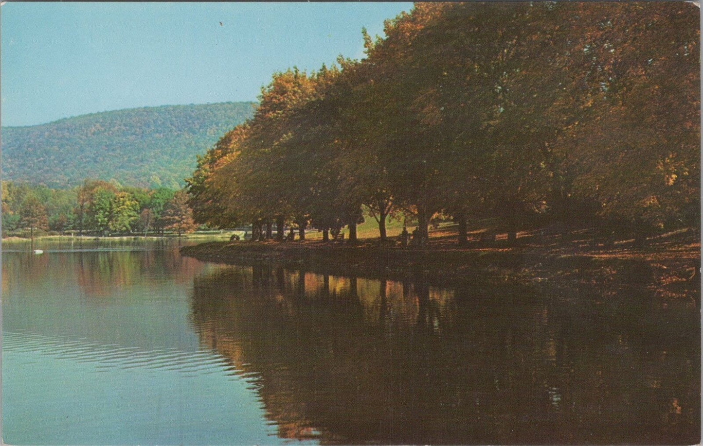 ZAYIX Postcard Bernhart's Dam Looking East Reading Pennsylvania 090222PC102