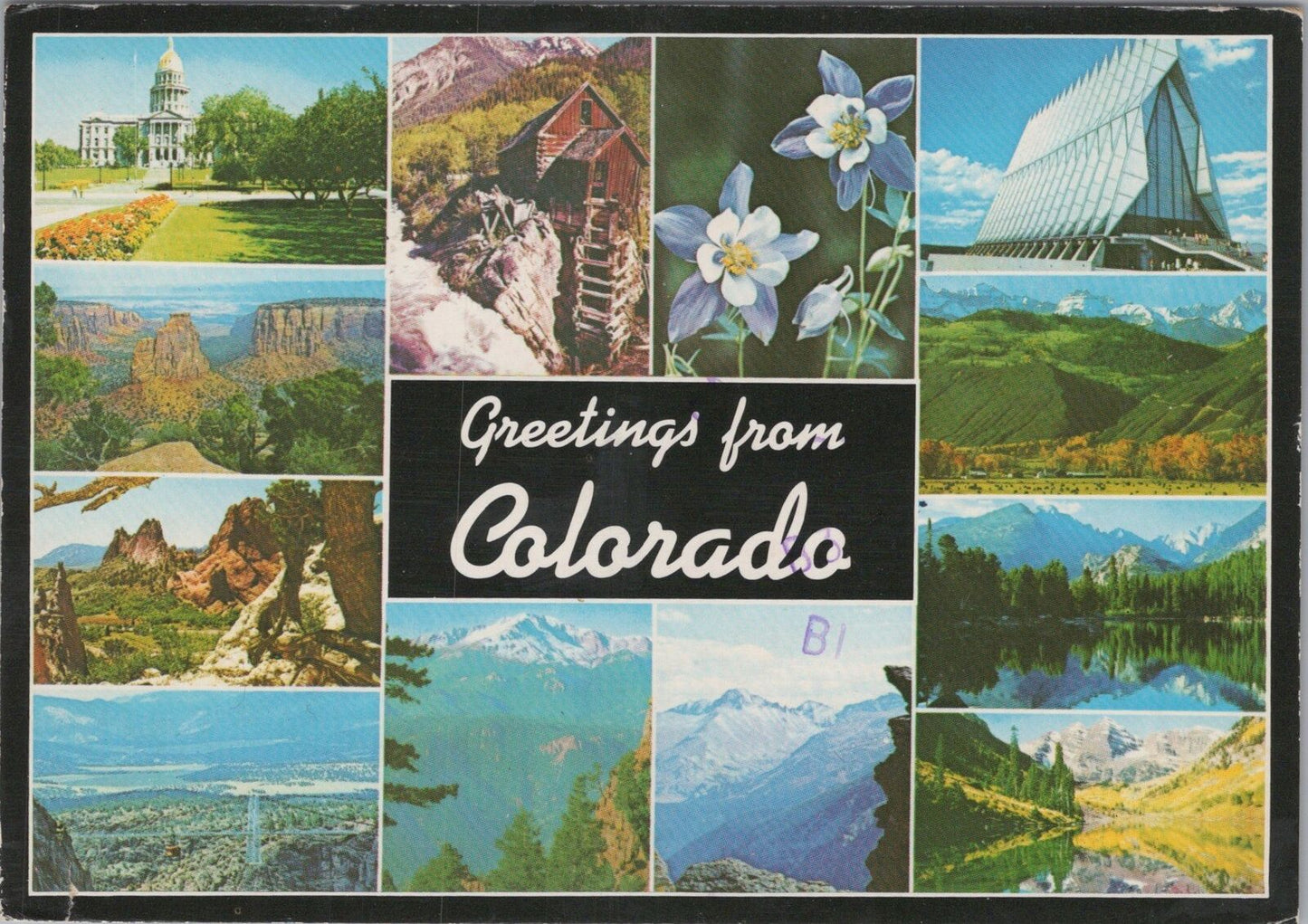 ZAYIX Postcard Greetings from Colorado Flowers Landscapes Mountains 090222PC48