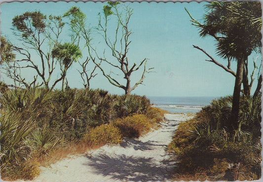 ZAYIX Postcard Coastal Scene Beaufort County South Carolina Beach 090222PC41