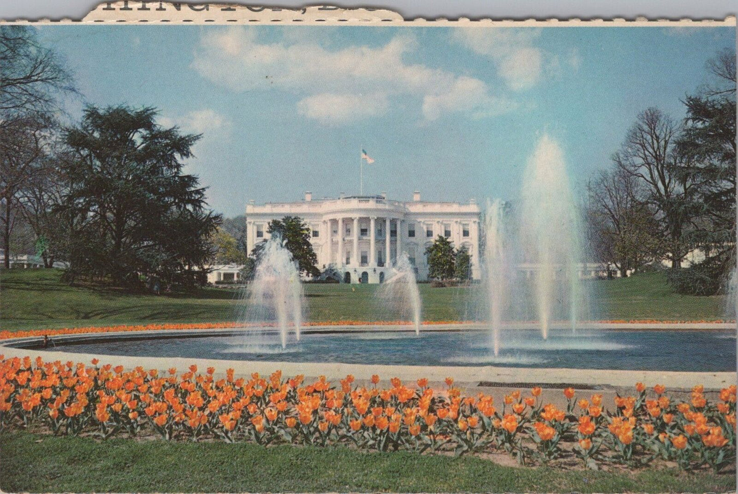 ZAYIX Postcard White House and Grounds Washington DC Plastichrome 090222PC08