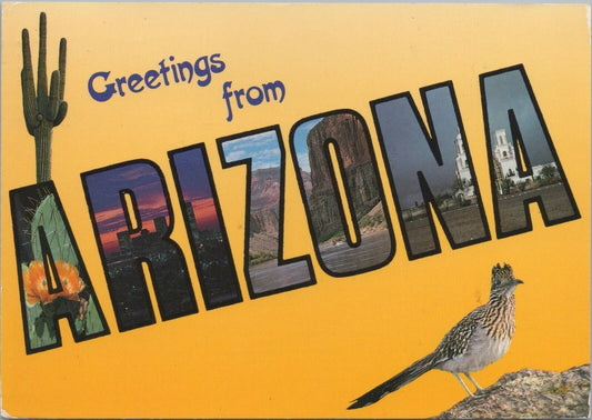 ZAYIX Postcard Greetings from Arizona Cactus Roadrunner bird Flower 083022PC64