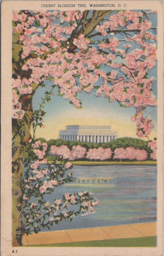 ZAYIX Postcard Lincoln Memorial & Cherry Blossoms Washington DC 083022PC48