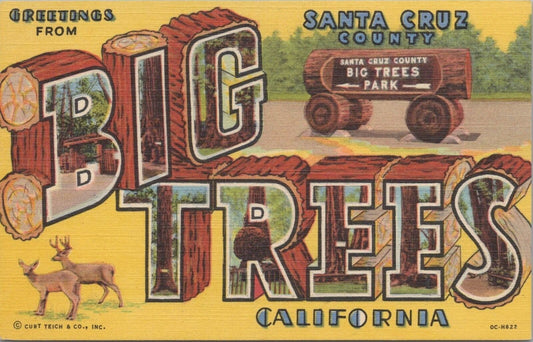 ZAYIX Postcard Big Trees California Santa Cruz County Greetings 083022PC36