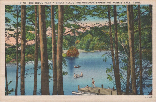 ZAYIX Postcard N-710 Big Ridge Park Outdoor Sports Norris Lake Tenn 083022PC15