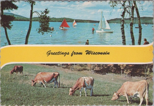 ZAYIX Postcard Greetings from Wisconsin Cows Cheese Sailboats Lake 083022PC21