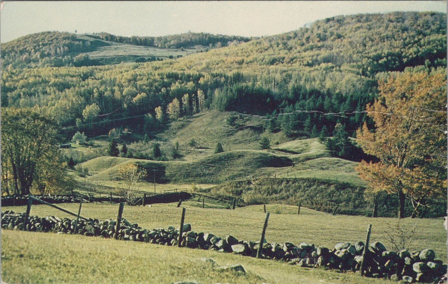 ZAYIX Postcard Scene in the Madawaska Valley Ontario Canada Tourism 090222PC117