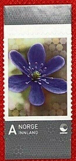 Norway / Norge Domestic Rate Beautiful Purple Flower MNH