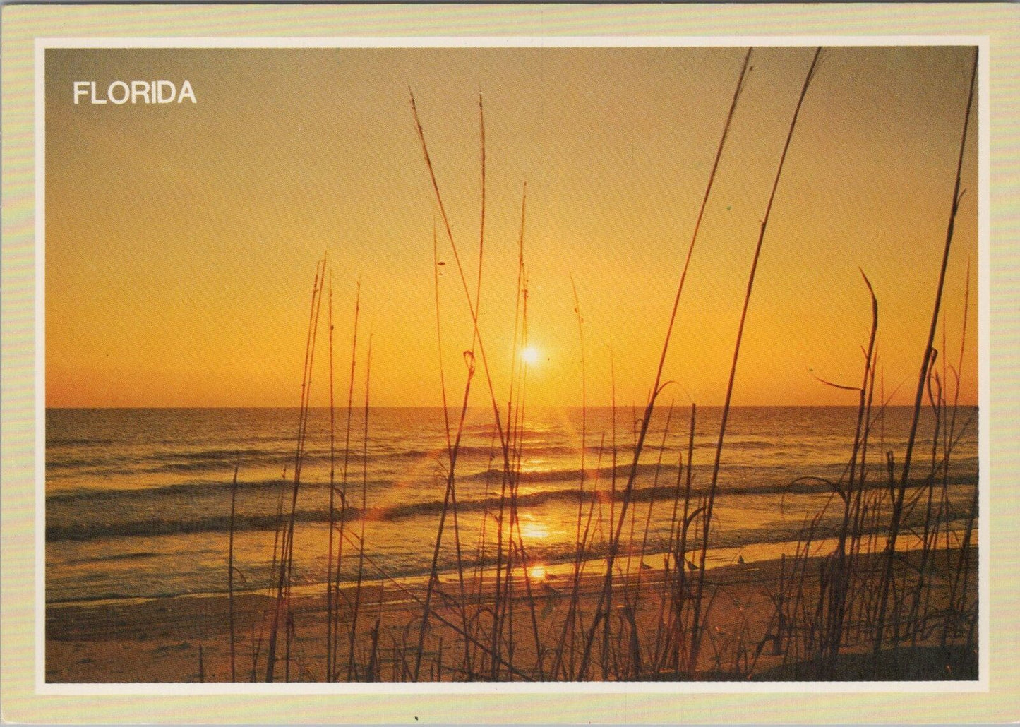 ZAYIX Postcard Beautiful Florida Sunrise Coast Beach 102022-PC01