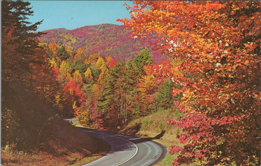 ZAYIX Postcard Fall Color Highway Scene Smoky Mountains National Park 102022PC40