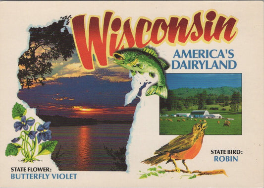 ZAYIX Postcard Wisconsin America's Dairyland State Bird Butterfly 102022-PC55