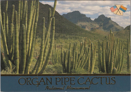 ZAYIX Postcard Organ Pipe Cactus National Monument Arizona 102022-PC73