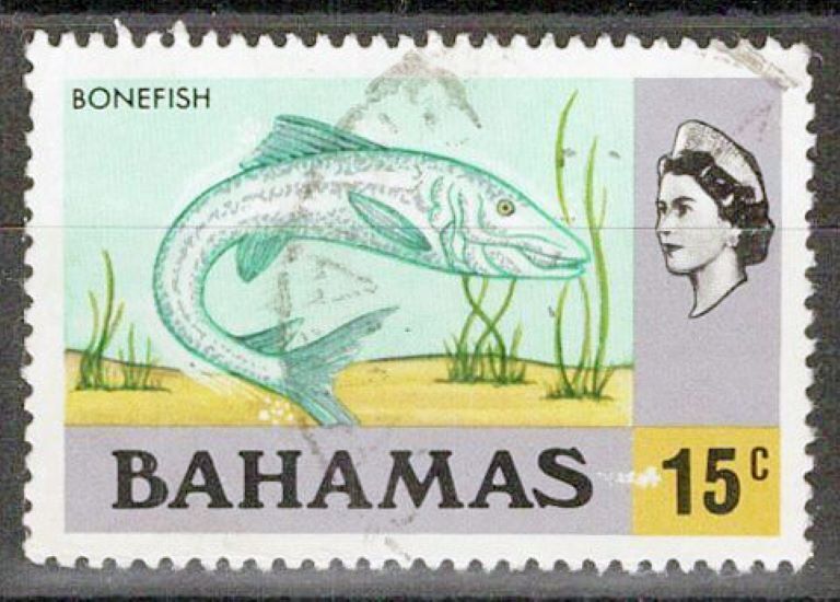 Bahamas 324 Used Bonefish Marine Life ZAYIX 072622S28M