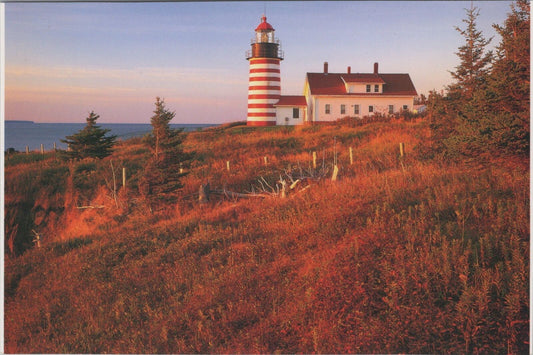 ZAYIX Sunset Glow, West Quoddy Head Lighthouse, Lubec, Maine Postcard