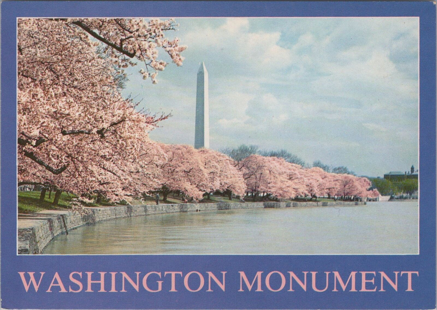 ZAYIX Washington Monument and Cherry Blossoms, Washington DC Postcard