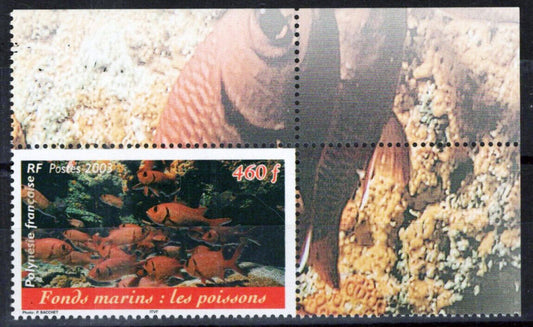 French Polynesia 849 MNH Fish Marine Life Zayix Stamps 061223SM07