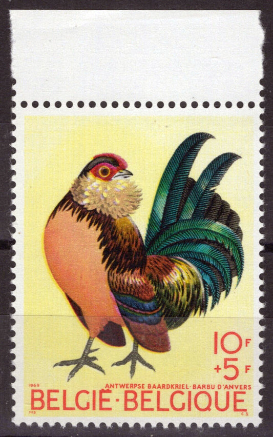 Belgium B850 MNH Semi-Postal Birds Nature ZAYIX 071823S168M