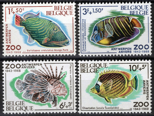 Belgium B832-B835 MNH Semi-Postal Tropical Fish Marine Life ZAYIX 071823S165M