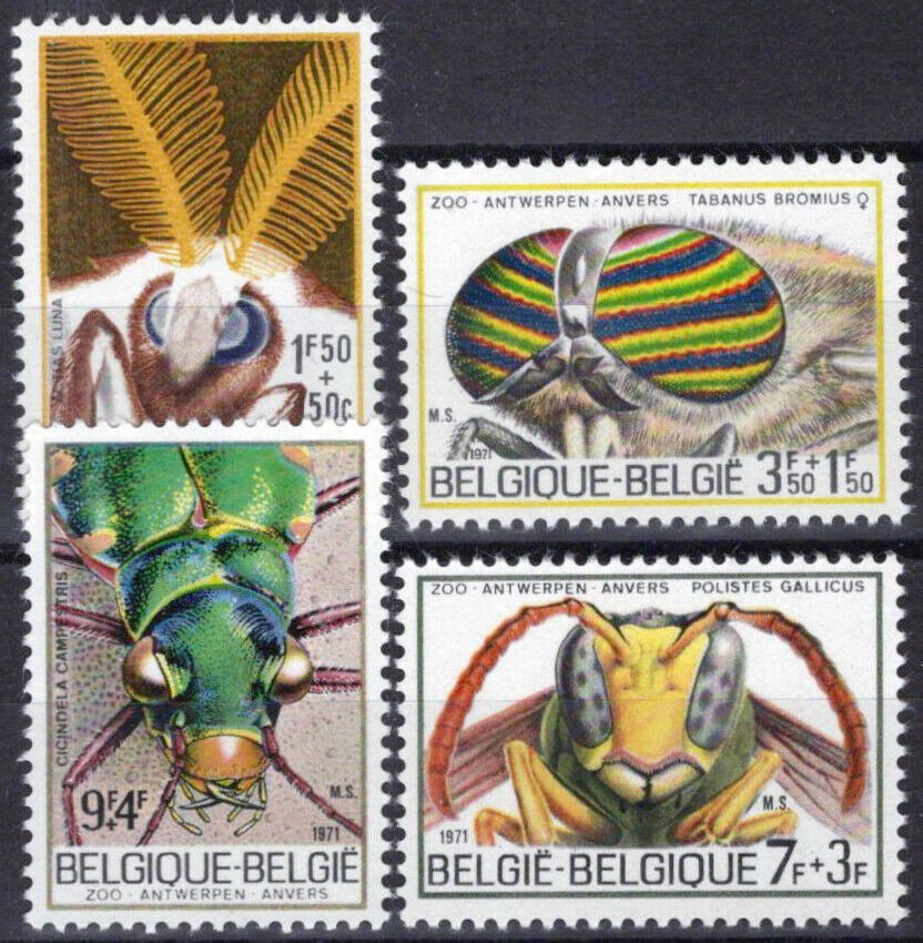 Belgium B879-B882 MNH Semi-Postal Insects Nature Moths Beetles ZAYIX 071823S181M