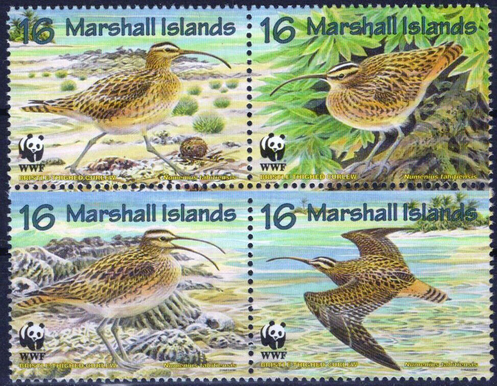 Marshall Islands 638 MNH Birds World Wildlife Fund 092523SM62M