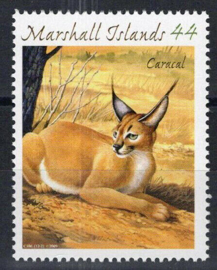 Marshall Islands 955b MNH Wild Cats Caracal Endangered Animals 101623S05M