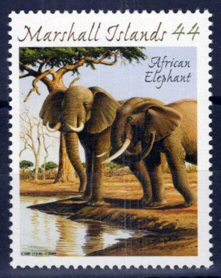 Marshall Islands 955h MNH African Elephant Endangered Animal 101623S10M