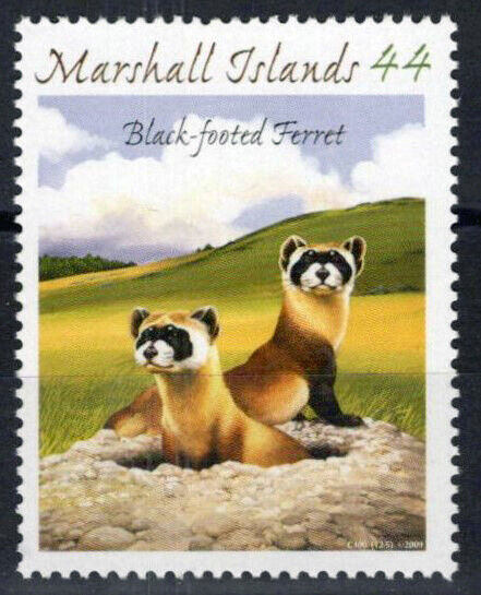 Marshall Islands 955e MNH Black Footed Ferret Endangered Animal 101623S08M