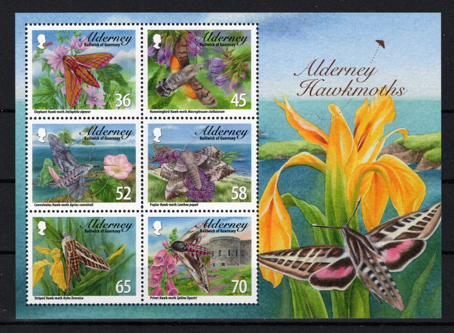 Alderney 402a MNH Moths Insects Nature Flowers