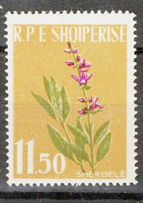 Albania stamp 11.5 value of flower