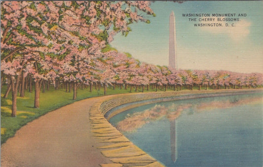 ZAYIX Postcard Washington Monument & Cherry Blossoms DC 083022PC02