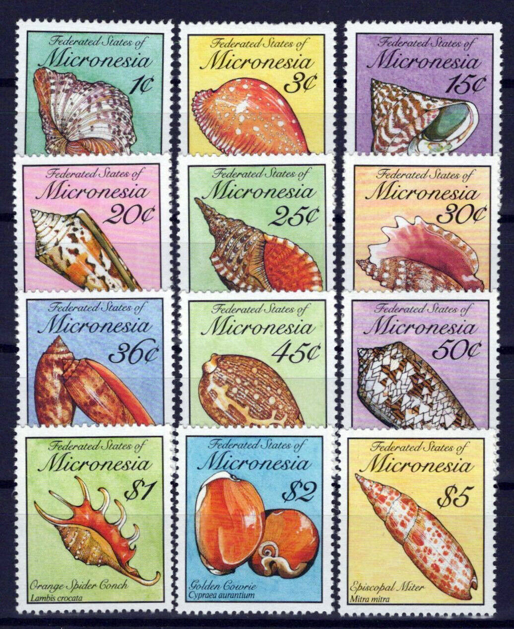 Micronesia 83-102 MNH Seashells Marine Life