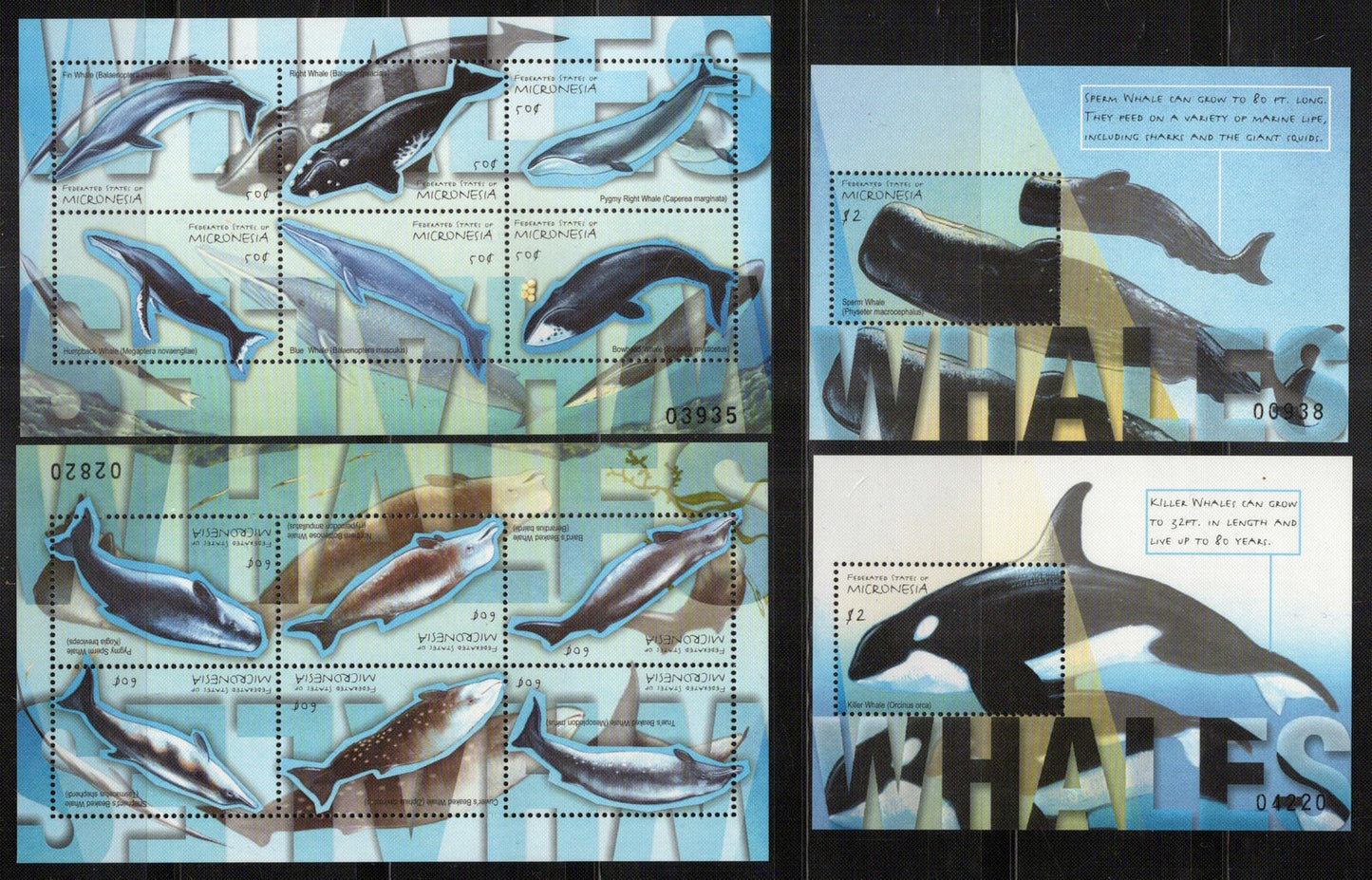 Micronesia 416-419 MNH Whales Marine Life