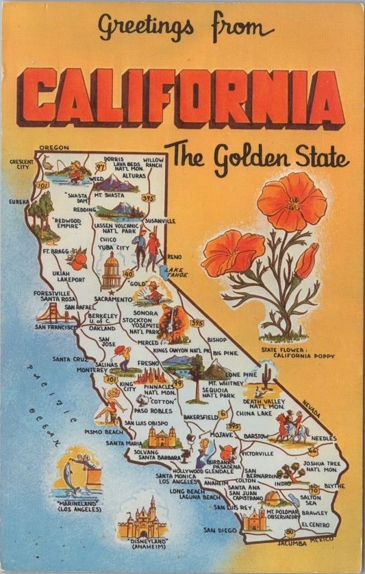 ZAYIX Postcard California the Golden State Greetings Map Flowers 083022PC37